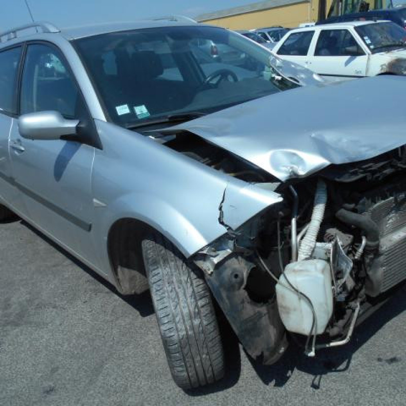 Eclairage de plafonnier RENAULT MEGANE 2 Photo n°5