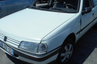 Malle/Hayon arriere PEUGEOT 405