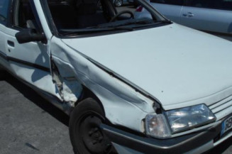 Malle/Hayon arriere PEUGEOT 405