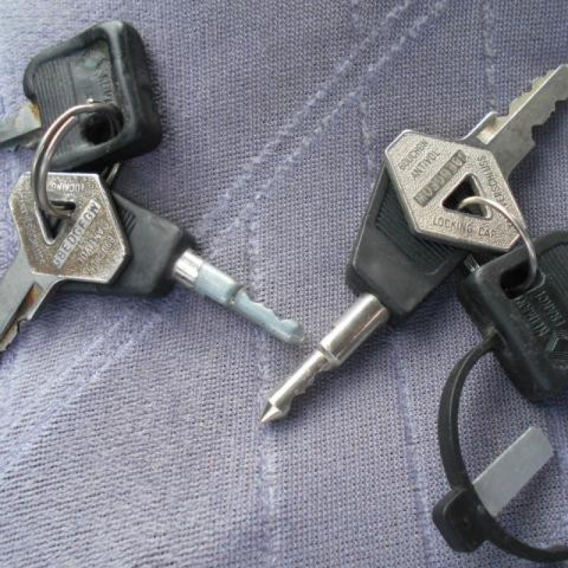Porte avant droit RENAULT R25 Photo n°8