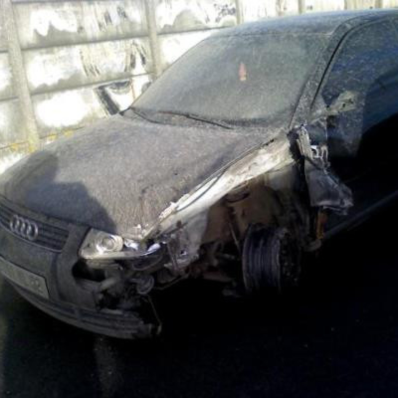 Porte avant droit AUDI A3 1 Photo n°2