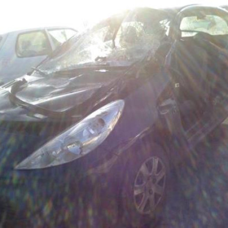 Cardan gauche (transmission) PEUGEOT 206+