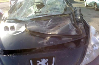 Cardan gauche (transmission) PEUGEOT 206+