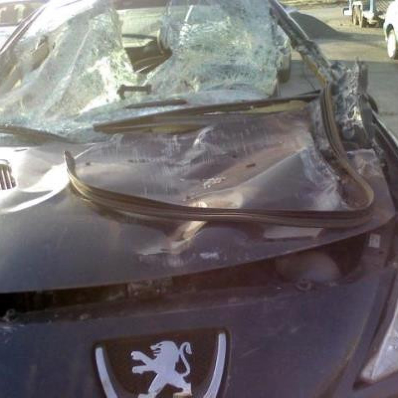 Cardan gauche (transmission) PEUGEOT 206+ Photo n°4