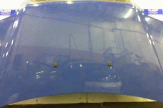 Capot FIAT DOBLO 1 Photo n°1