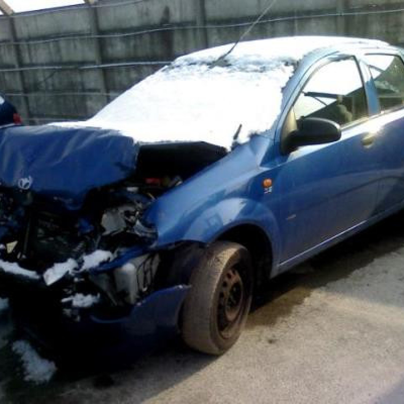 Porte arriere gauche DAEWOO KALOS Photo n°4