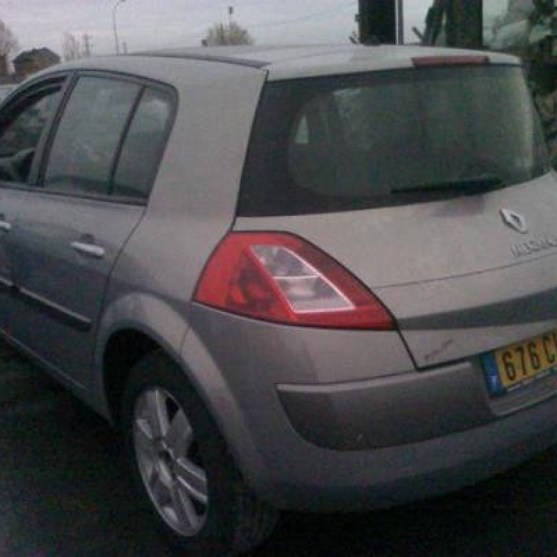 Bouton de warning RENAULT MEGANE 2 Photo n°7