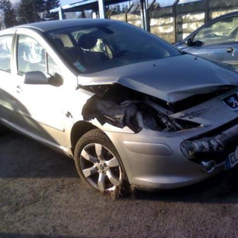 Poignee interieur avant gauche PEUGEOT 307 Photo n°6