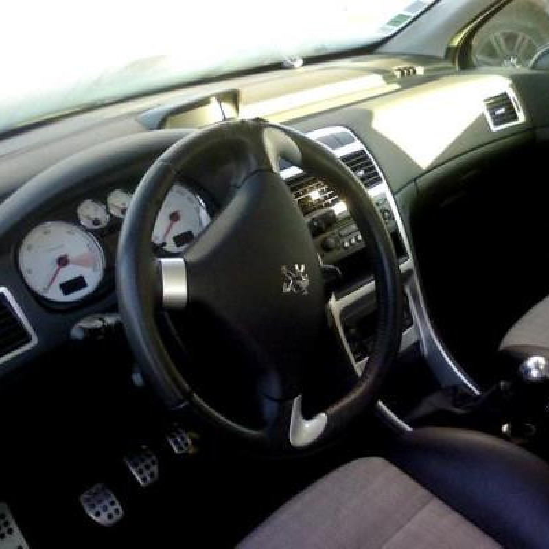 Poignee interieur avant gauche PEUGEOT 307 Photo n°9