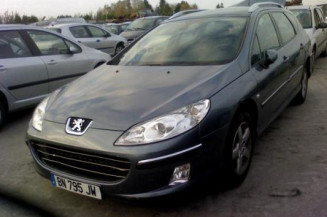 Poignee interieur avant gauche PEUGEOT 407