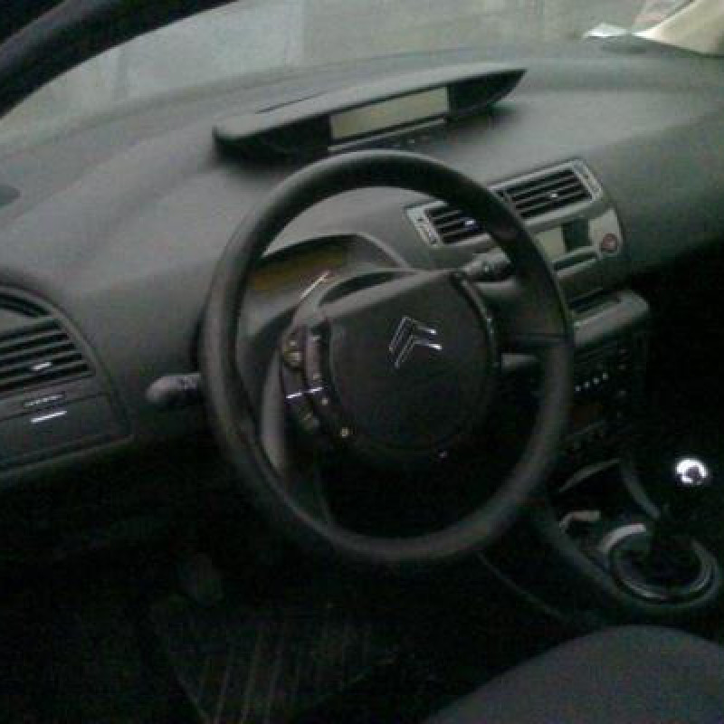 Poignee interieur avant gauche CITROEN C4 1 Photo n°4