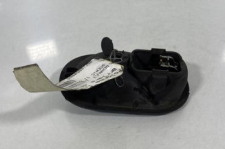 Poignee interieur arriere droit RENAULT SCENIC 2