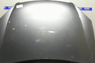 Capot CITROEN C5 1 Photo n°1