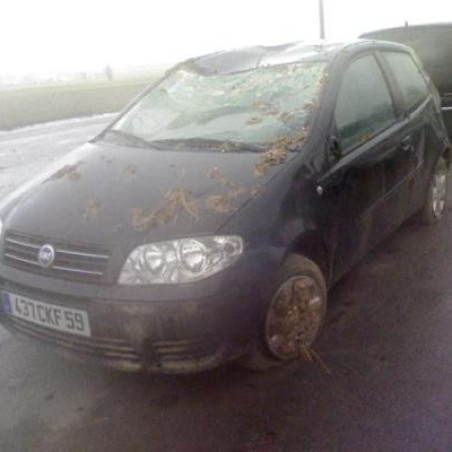 Cremaillere assistee FIAT PUNTO 2