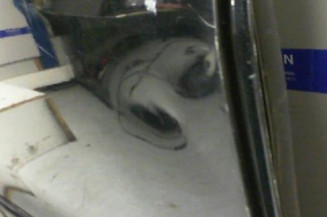 Porte arriere droit TOYOTA RAV4 2