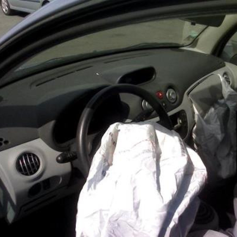 Pulseur d'air CITROEN C3 1 Photo n°5