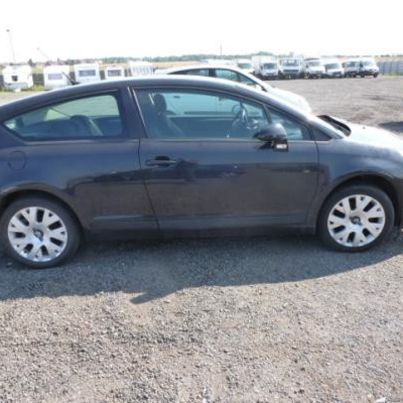 Pulseur d'air CITROEN C4 1 Photo n°7