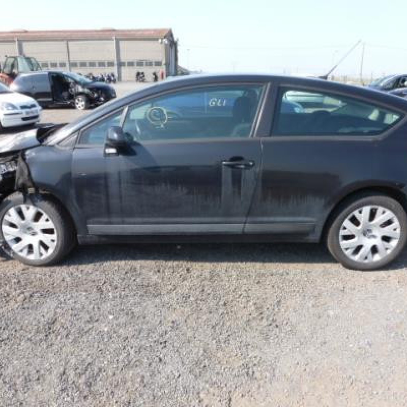 Pulseur d'air CITROEN C4 1 Photo n°9