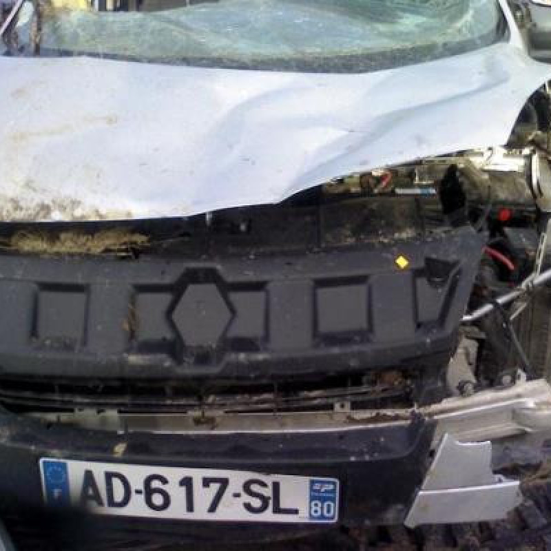 Boite a gants RENAULT SCENIC 3 Photo n°4