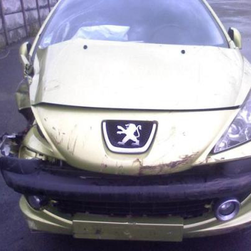 Vitre avant gauche PEUGEOT 207 Photo n°3