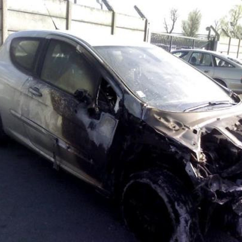Bouton de warning PEUGEOT 308 1 Photo n°5