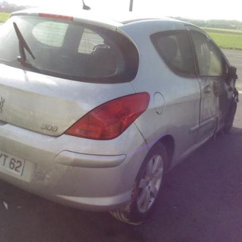 Bouton de warning PEUGEOT 308 1 Photo n°6
