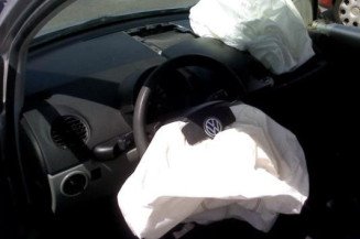 Malle/Hayon arriere VOLKSWAGEN NEW BEETLE 1 Photo n°1