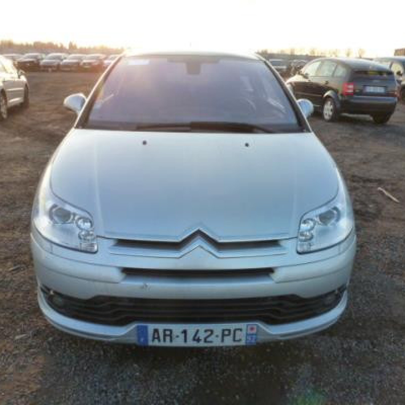 Pulseur d'air CITROEN C4 1 Photo n°5