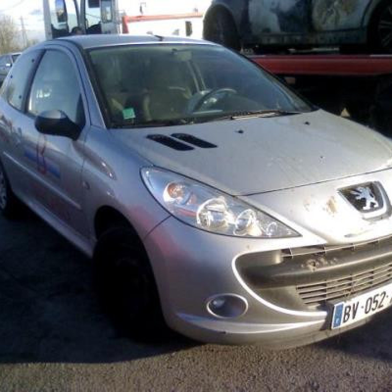 Bouton de warning PEUGEOT 206+ Photo n°5