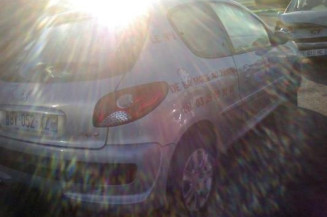Bouton de warning PEUGEOT 206+