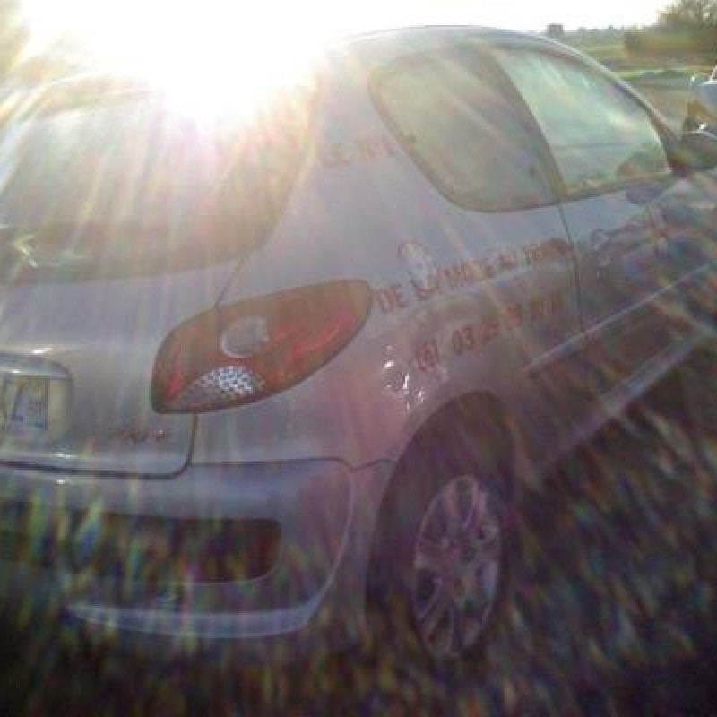 Bouton de warning PEUGEOT 206+ Photo n°6