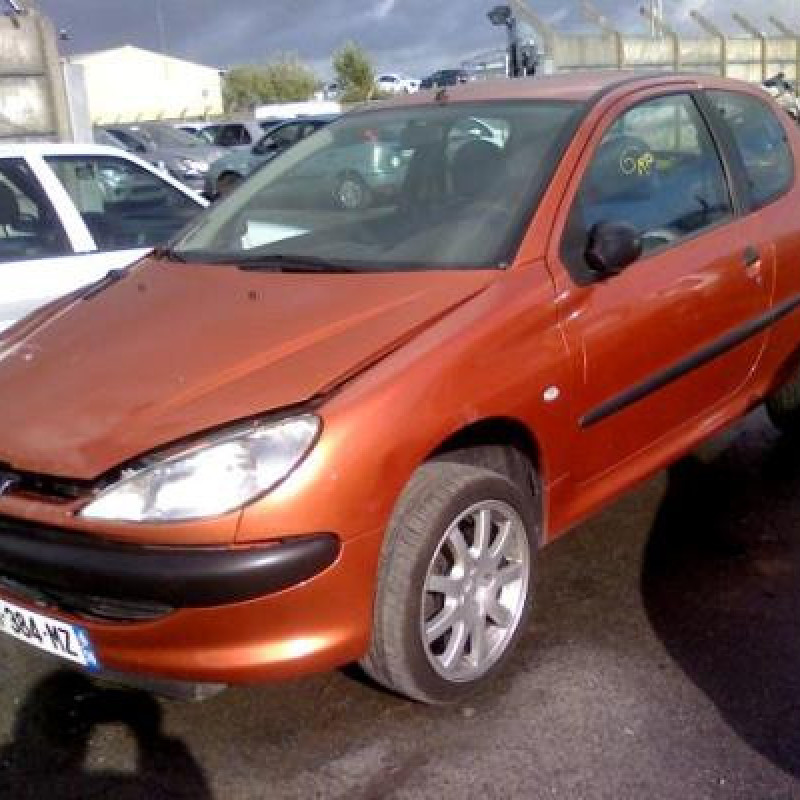 Afficheur PEUGEOT 206 Photo n°4