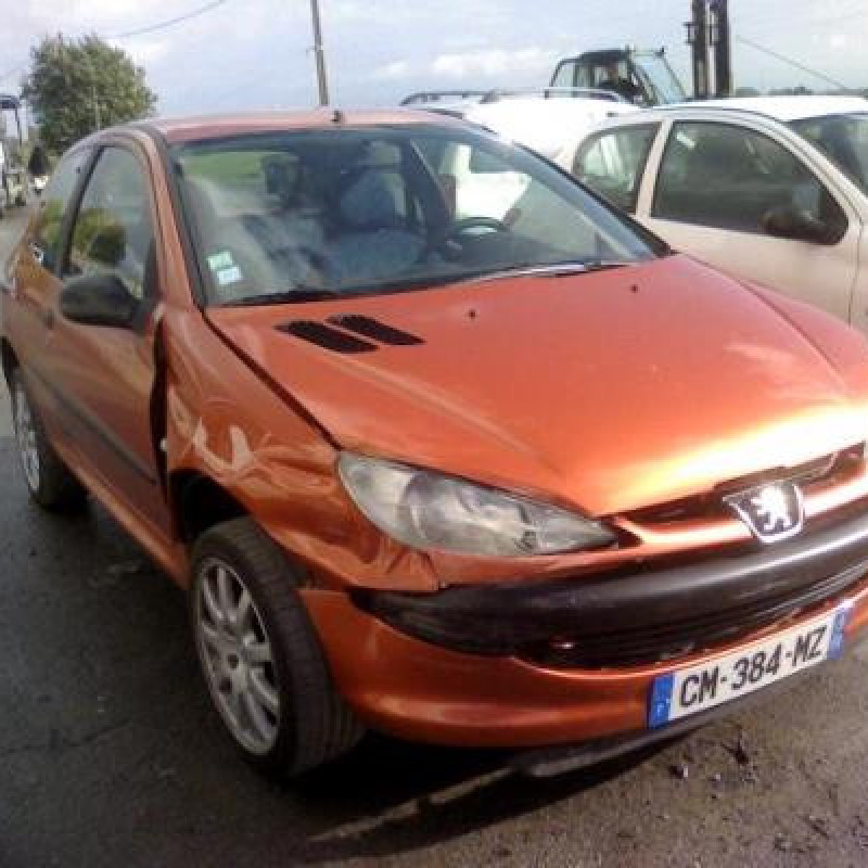 Afficheur PEUGEOT 206 Photo n°5
