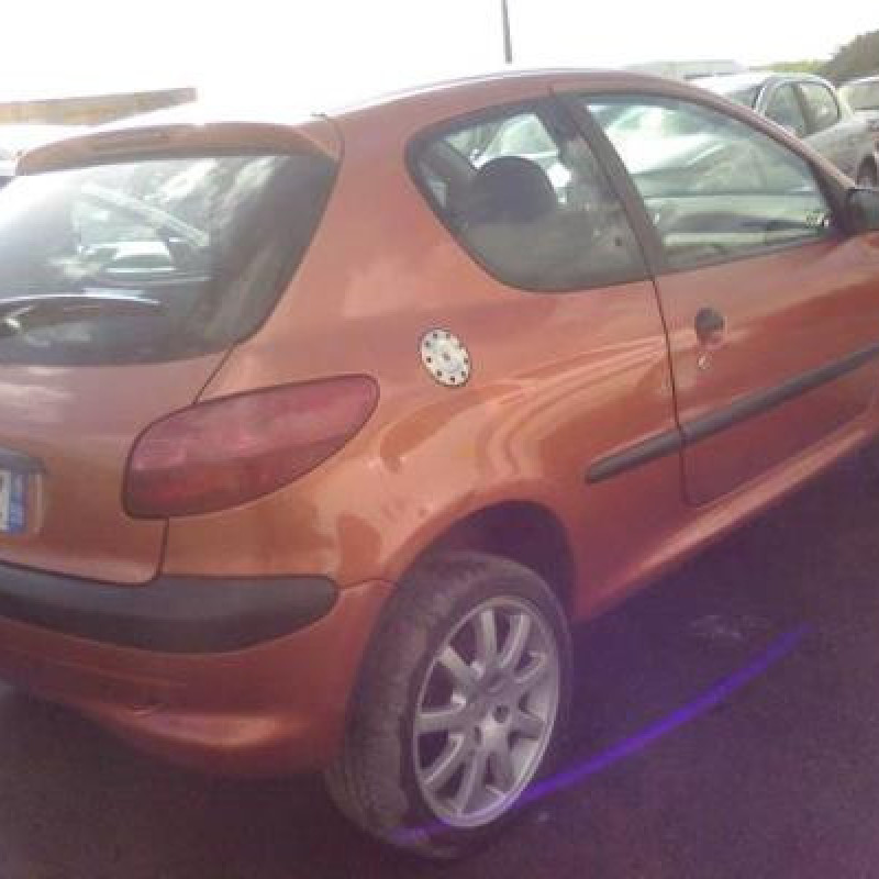 Afficheur PEUGEOT 206 Photo n°6