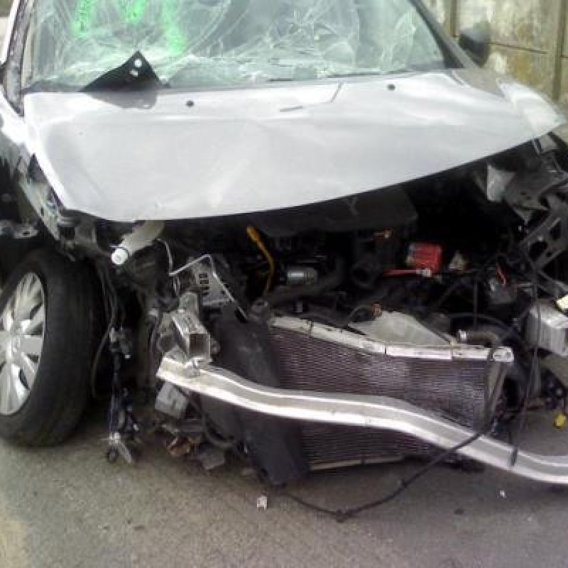 Bouton de warning RENAULT CLIO 3 Photo n°5