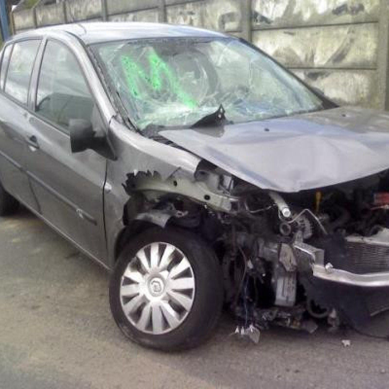 Bouton de warning RENAULT CLIO 3 Photo n°6