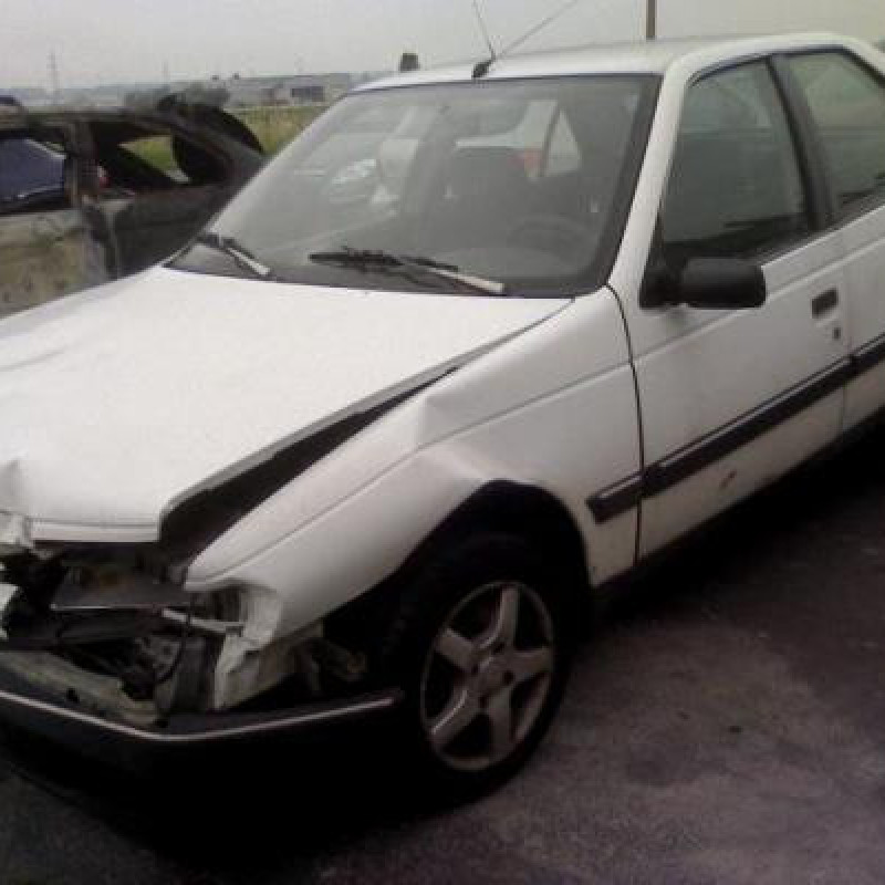 Malle/Hayon arriere PEUGEOT 405 Photo n°1