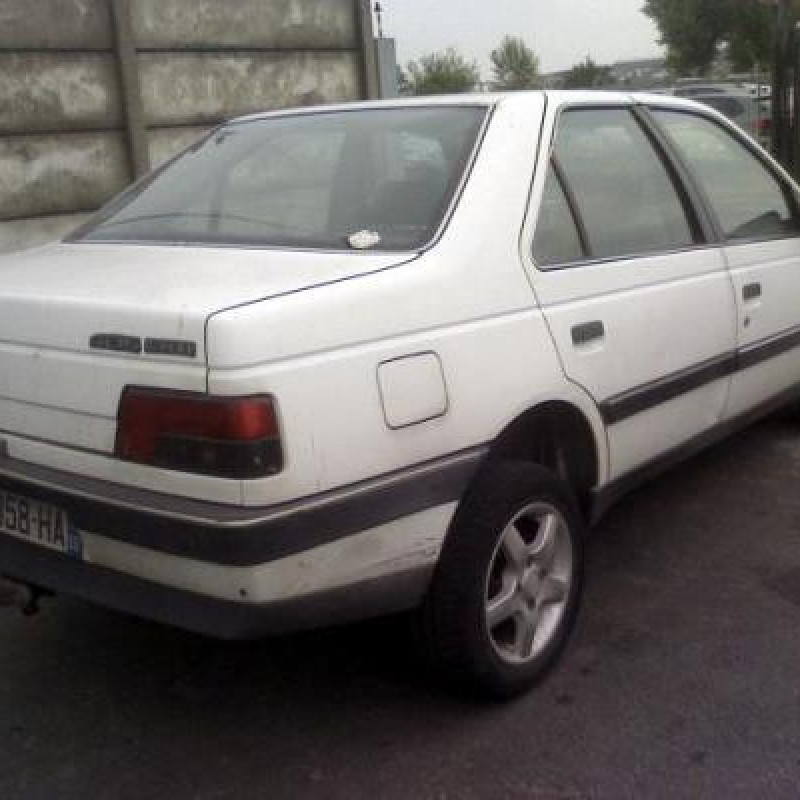 Malle/Hayon arriere PEUGEOT 405 Photo n°3