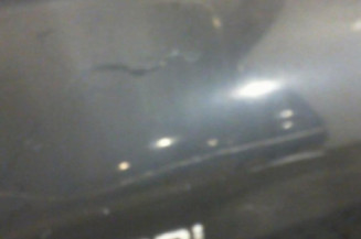 Porte avant gauche HYUNDAI SANTA FE 1 Photo n°1