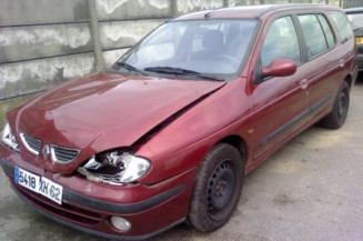Malle/Hayon arriere RENAULT MEGANE 1 Photo n°1