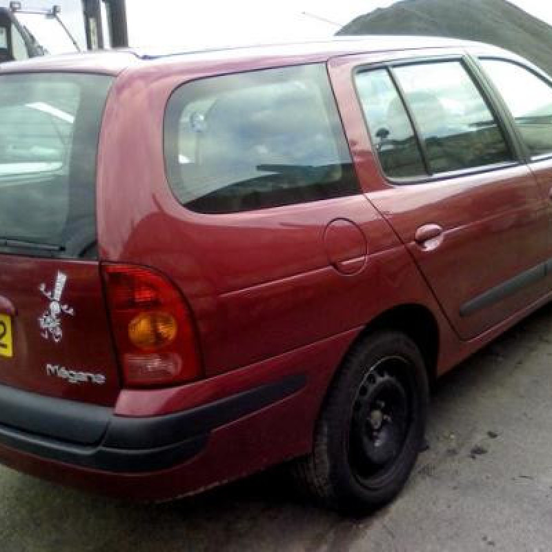 Malle/Hayon arriere RENAULT MEGANE 1 Photo n°3