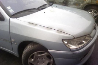 Malle/Hayon arriere PEUGEOT 306