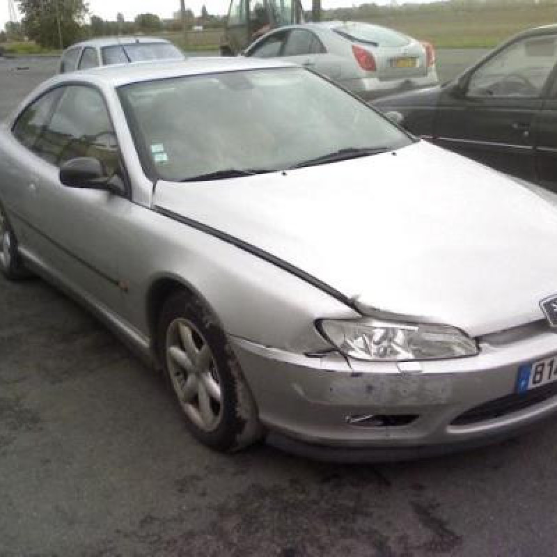 Porte avant droit PEUGEOT 406 Photo n°2