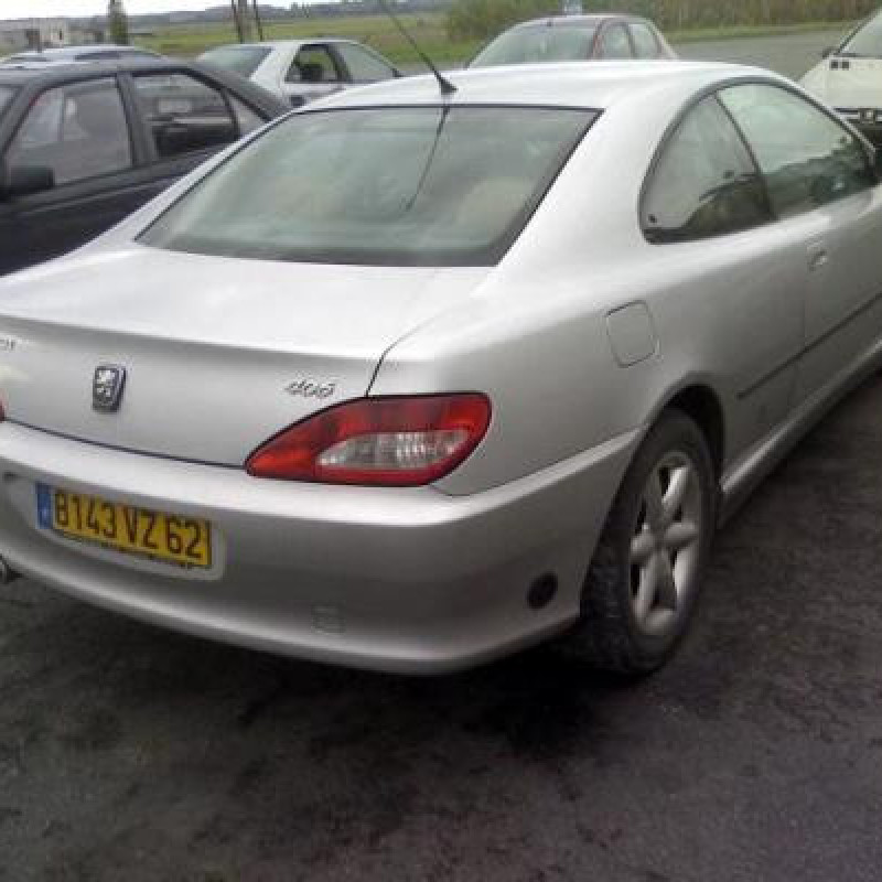 Porte avant droit PEUGEOT 406 Photo n°3