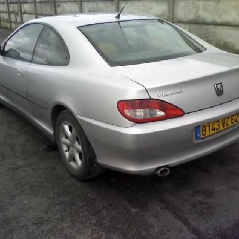 Porte avant droit PEUGEOT 406 Photo n°4