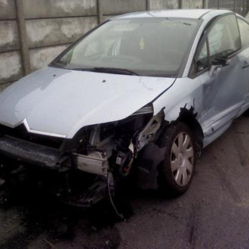 Malle/Hayon arriere CITROEN C4 1 Photo n°3