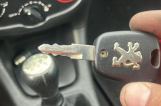 Boitier BSI PEUGEOT 206