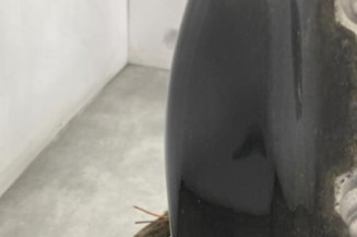 Porte arriere gauche RENAULT ESPACE 4
