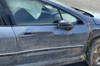 Feu arriere principal gauche (feux) PEUGEOT 407