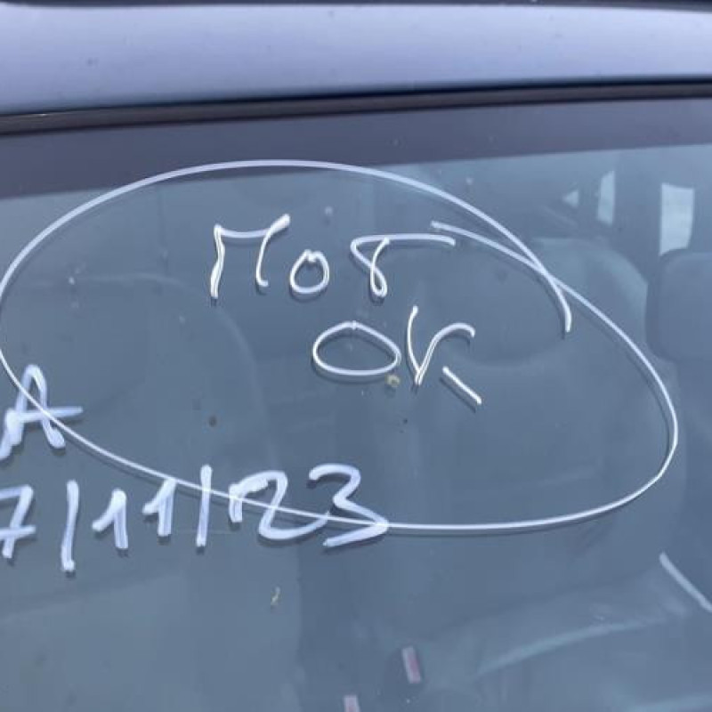 Pedalier d'accelerateur RENAULT TWINGO 1 Photo n°17